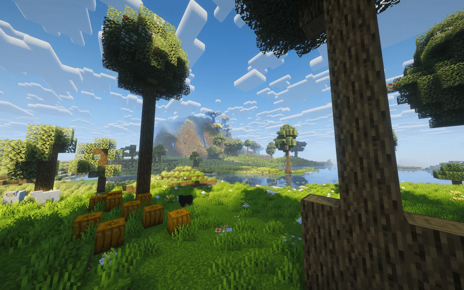 Better Fresh Start (BFS) — скриншот 5 (Модпаки, Minecraft)