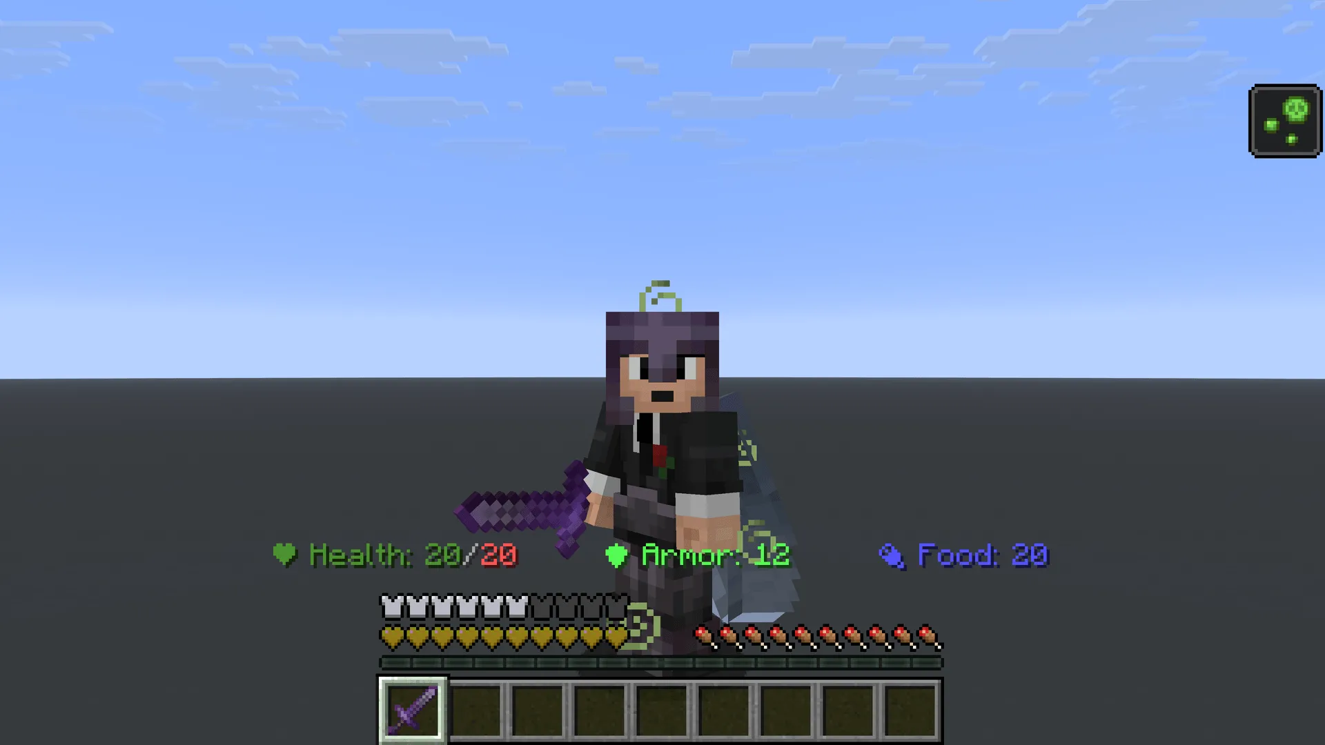Professional Status Bar, Моды, Minecraft