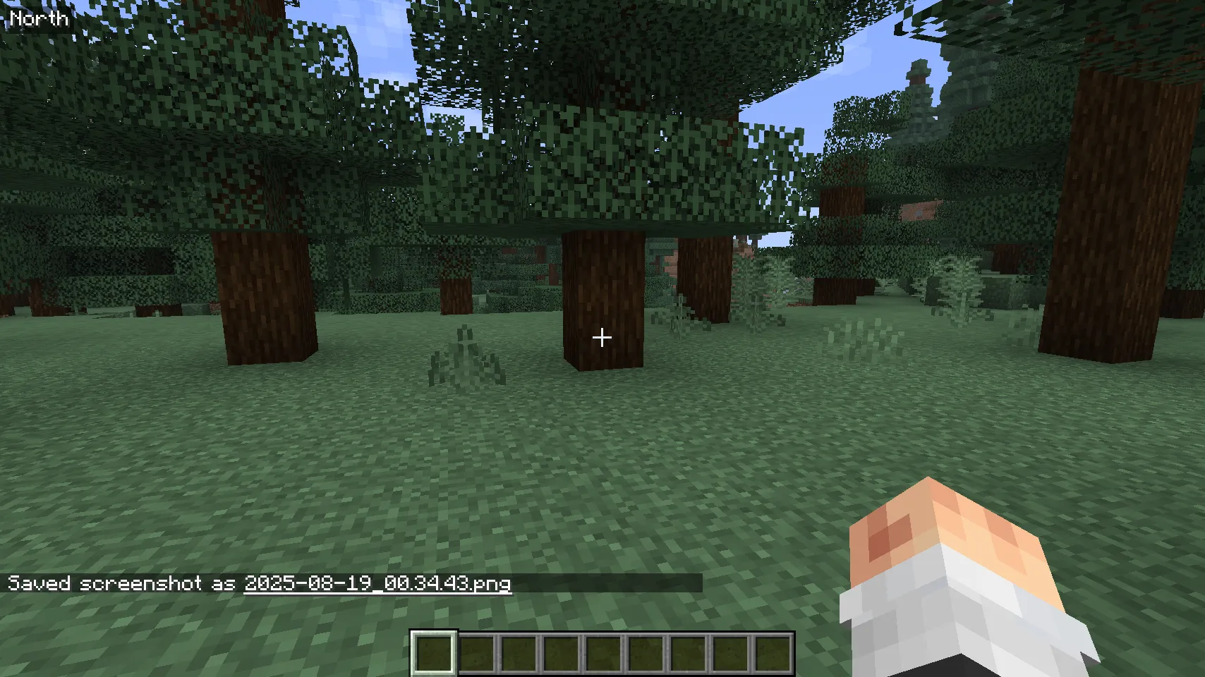 Direction HUD, Моды, Minecraft
