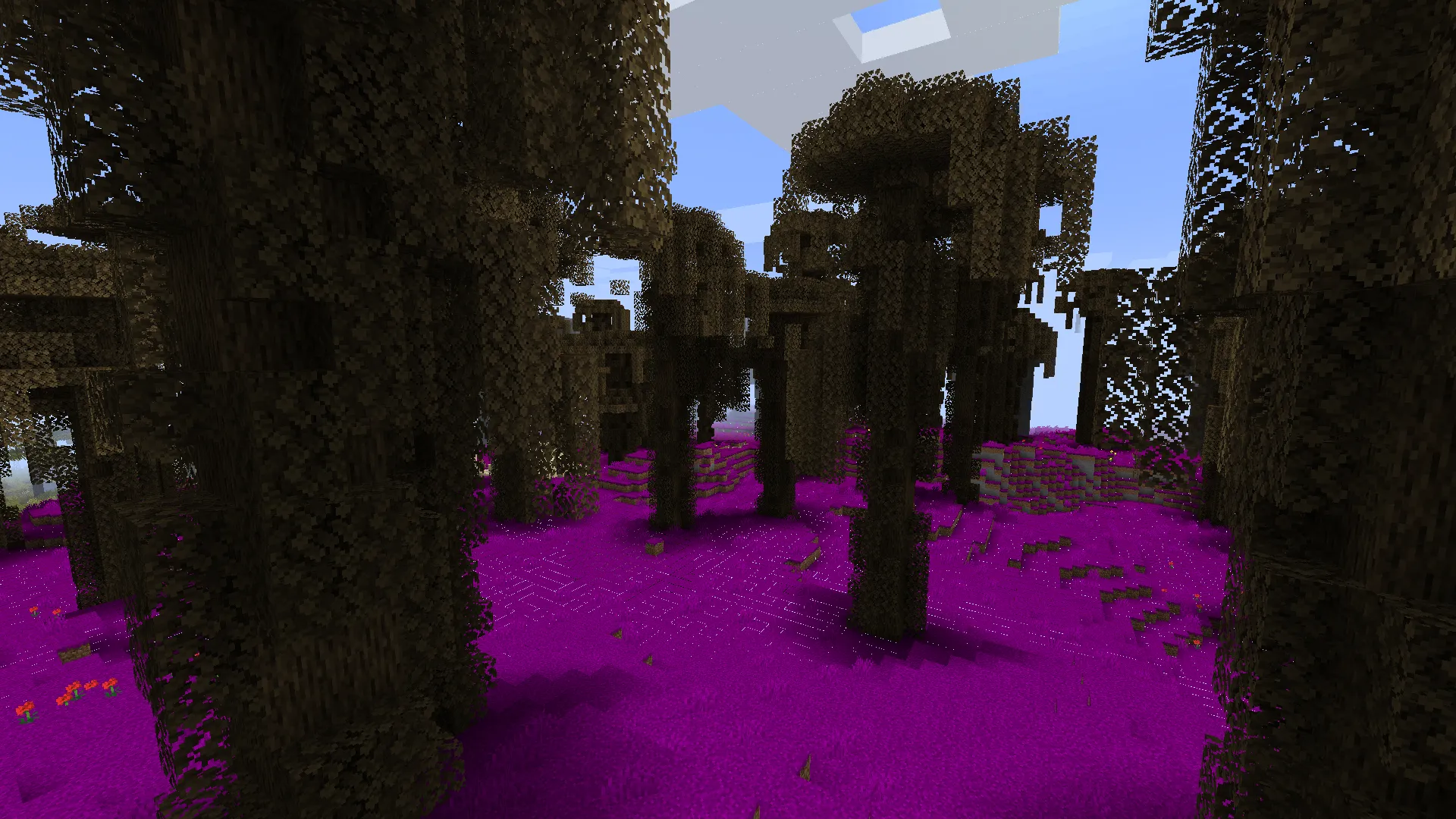 _RG_, Моды, Minecraft