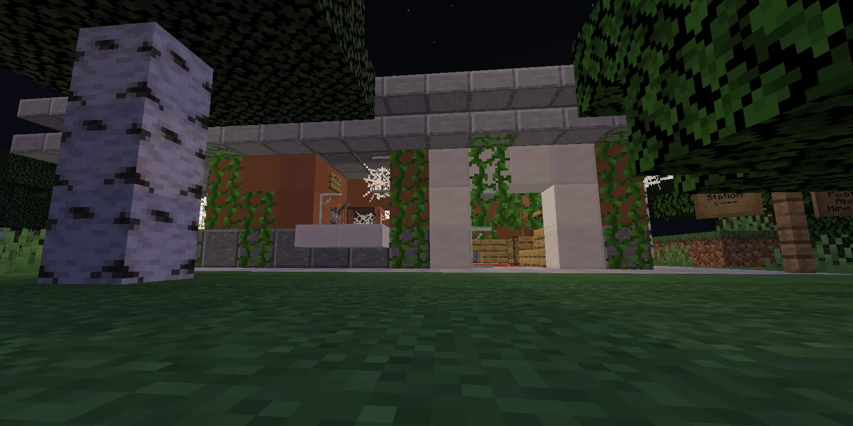 SrPollo Dweller, Моды, Minecraft