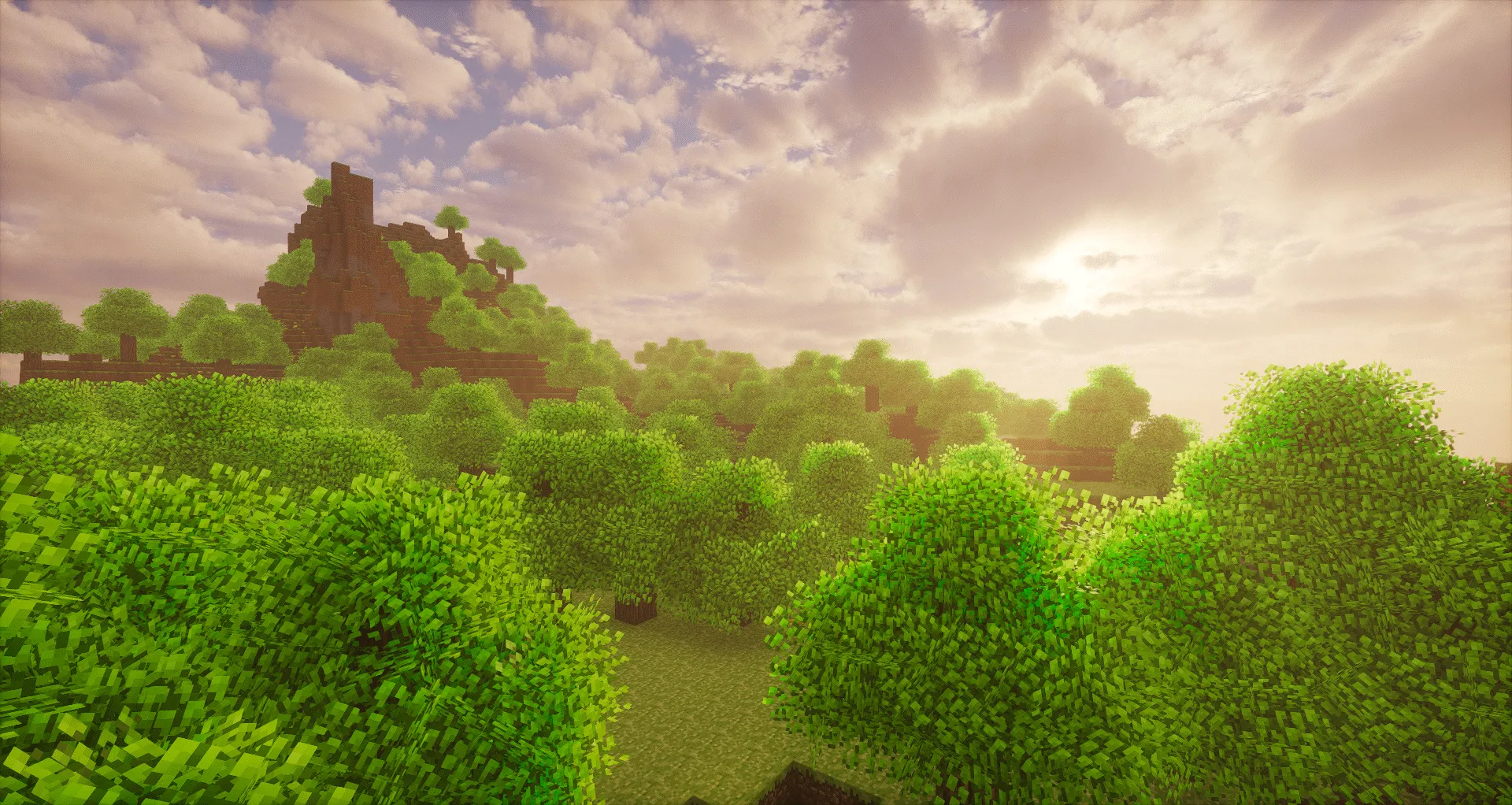 rainbow's foliage: polytone, Текстуры, Minecraft
