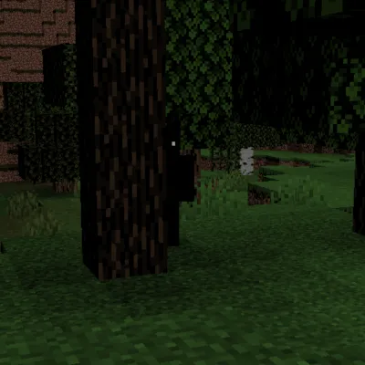 The Broken Player, Моды, Minecraft