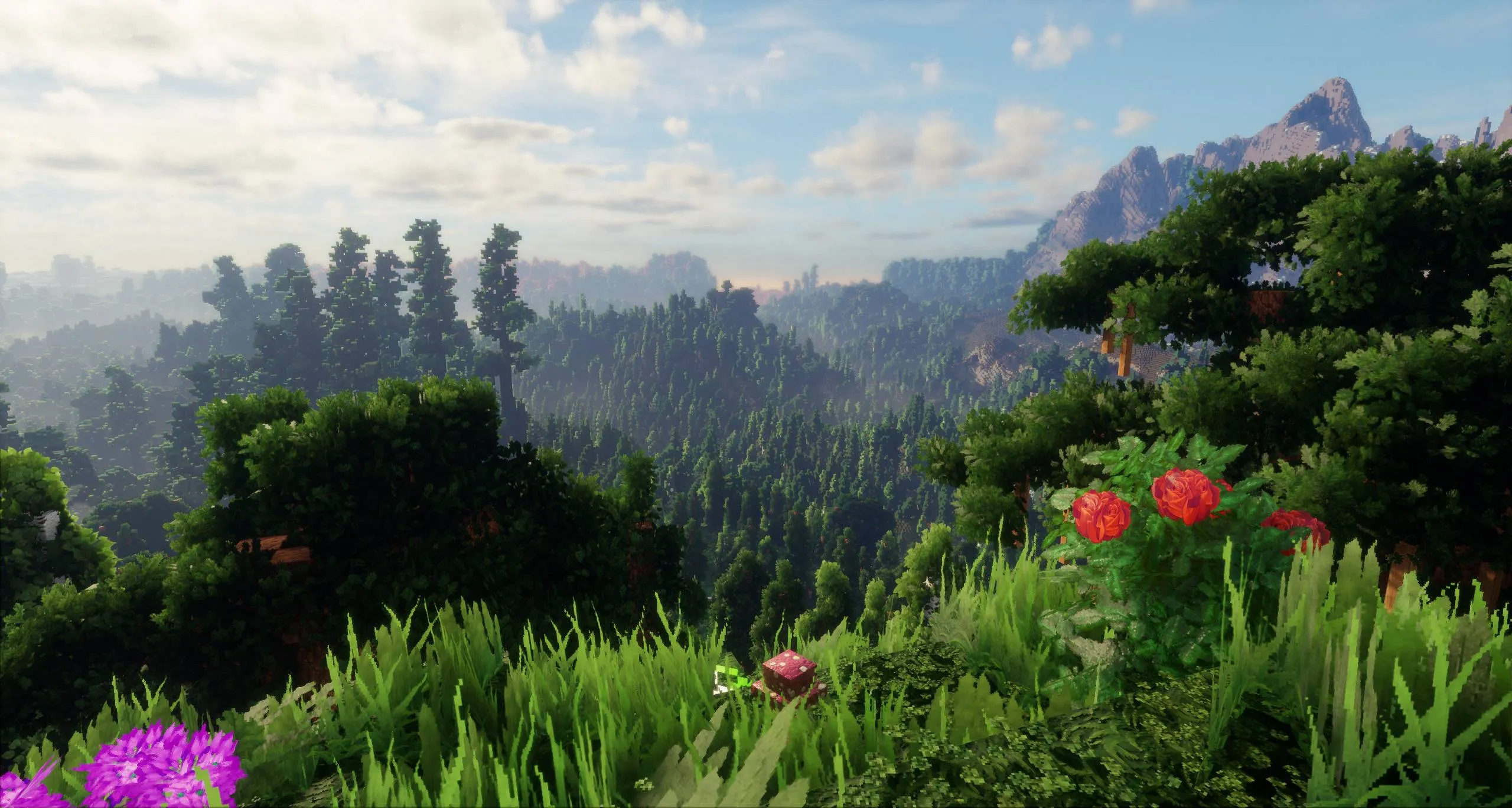 COVEN [64x-512x] [No Optifine], Текстуры, Minecraft