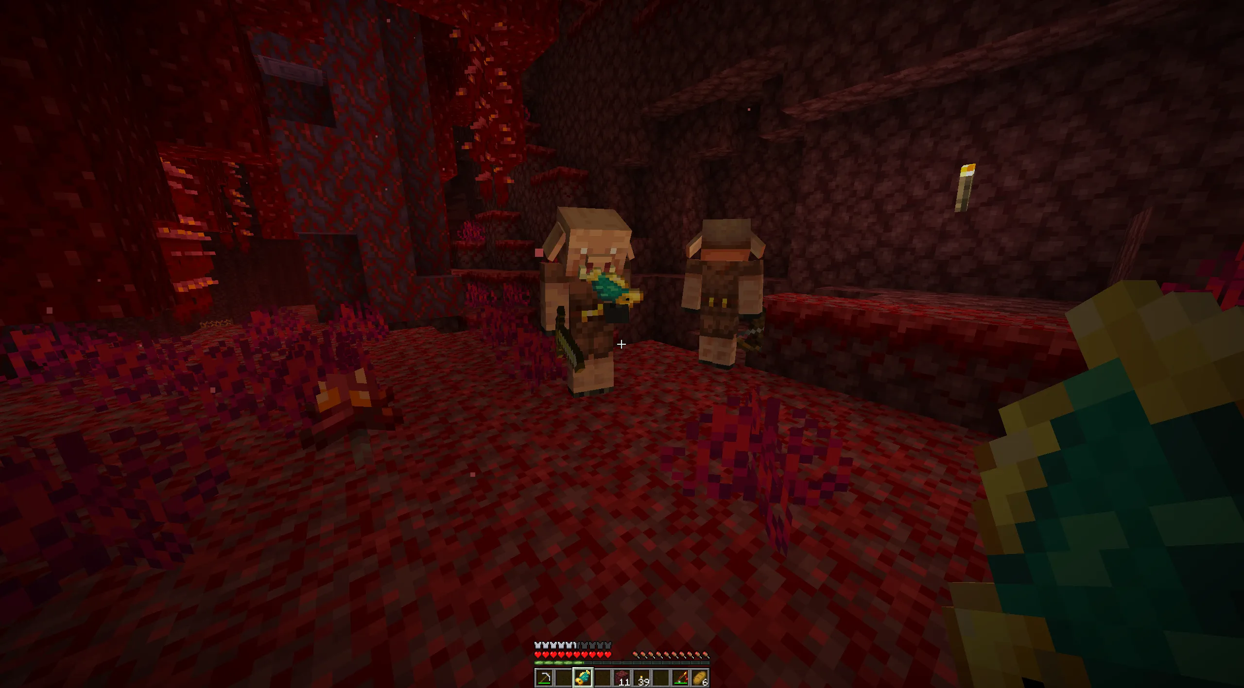Nether Additions | Swedish Frog — скриншот 6 (Моды, Minecraft)