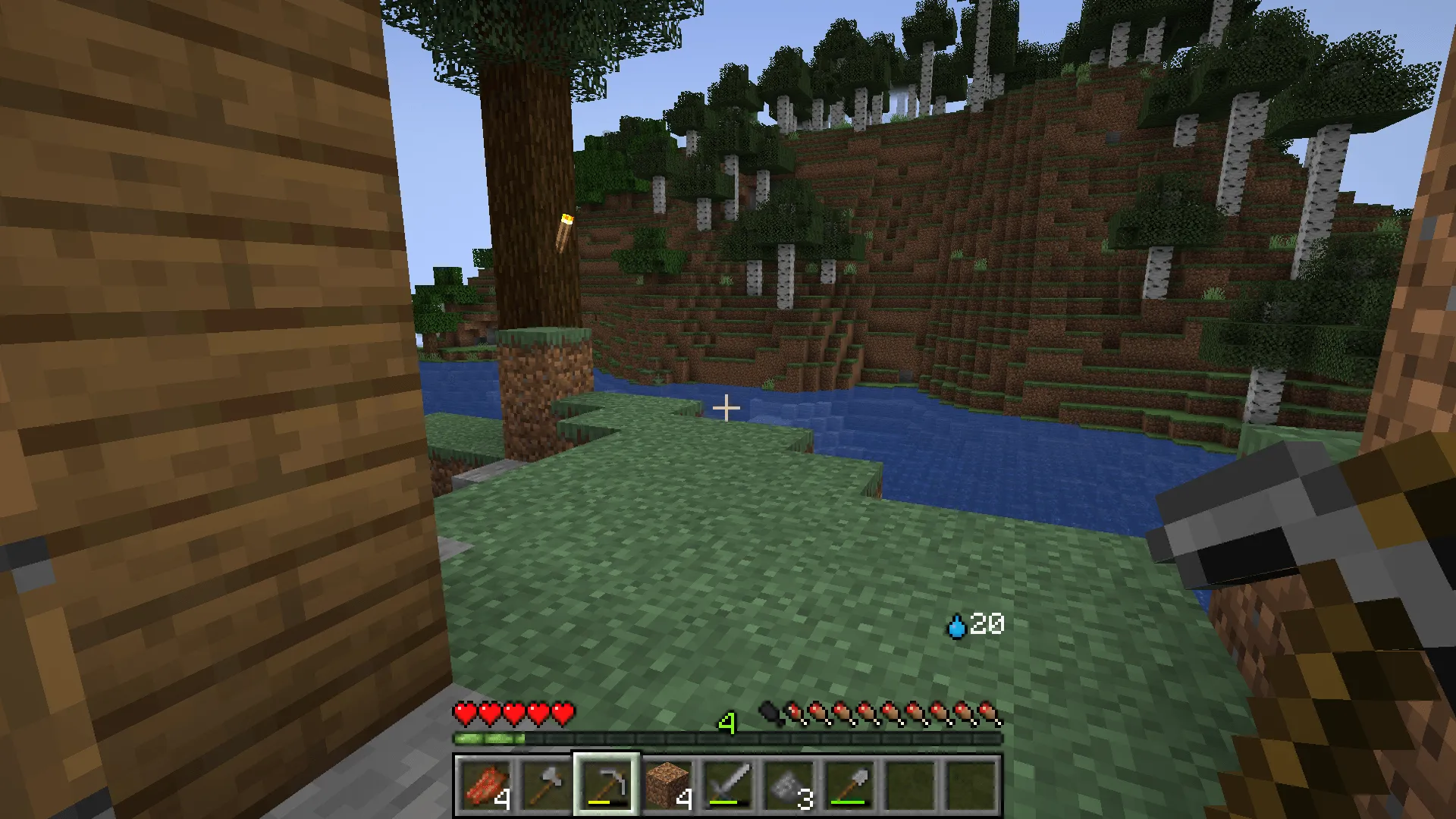 TrueSurvivor — скриншот 3 (Моды, Minecraft)