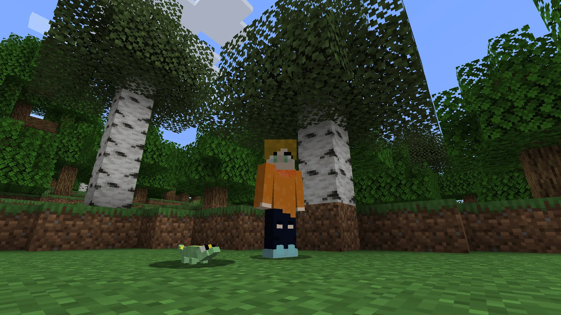Lil Guys, Моды, Minecraft