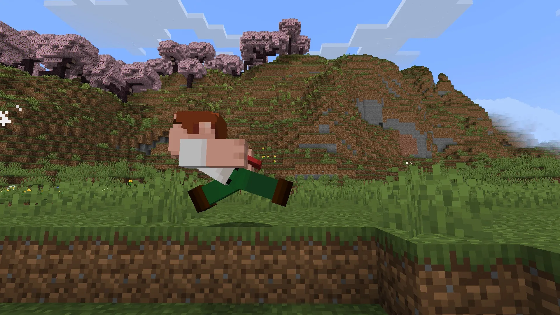 Homing Attack and Boost, Моды, Minecraft