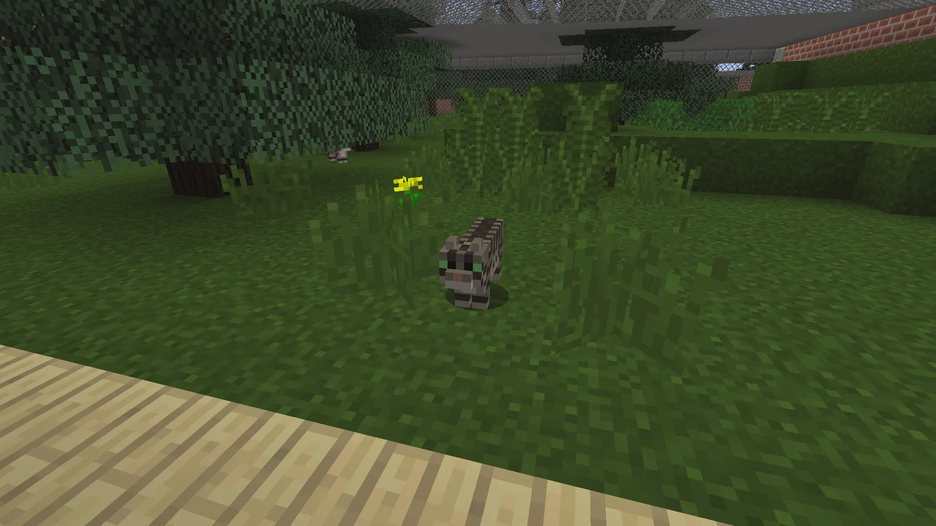 European Wildlife — скриншот 9 (Моды, Minecraft)