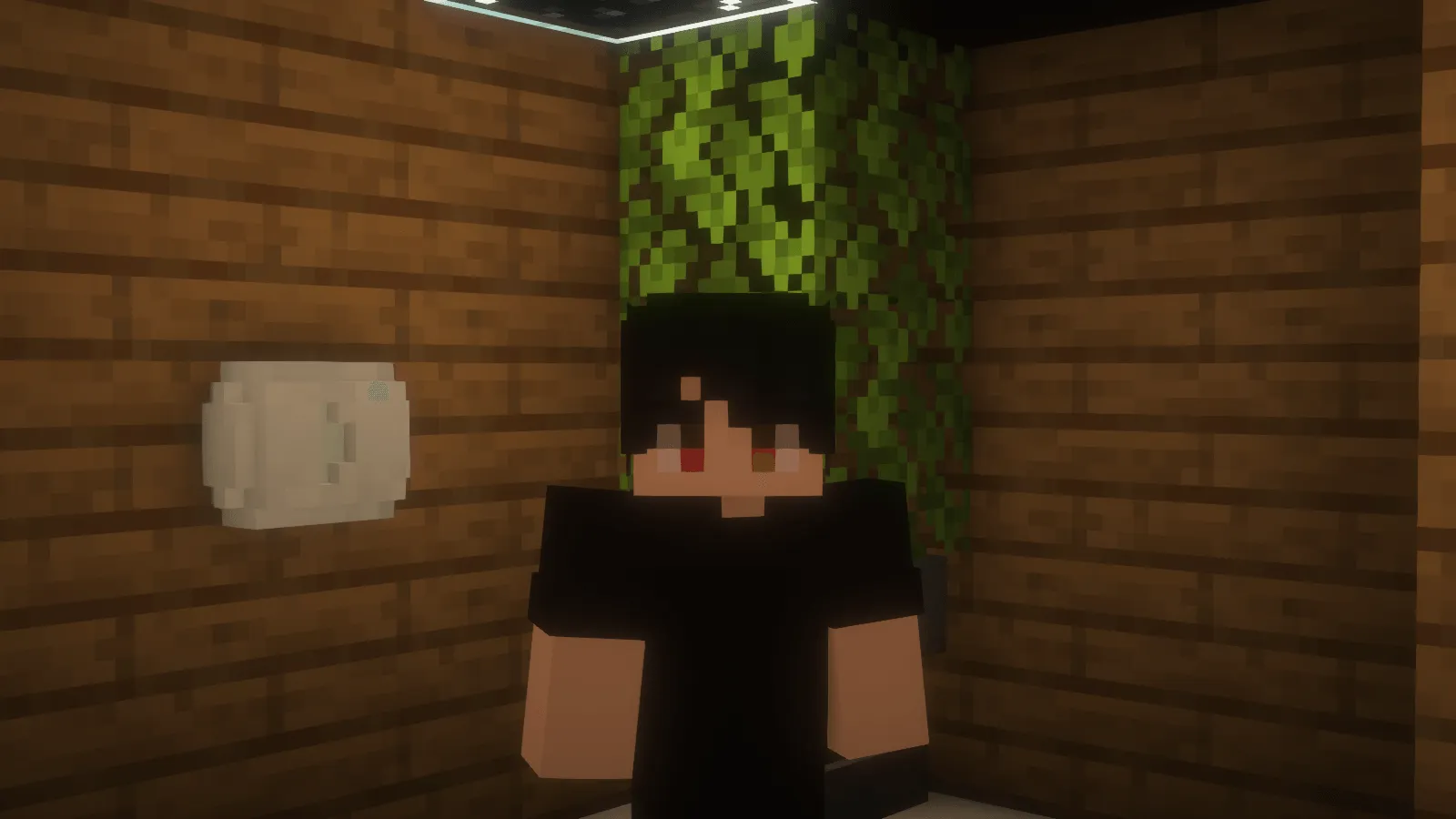 Content Creator Plates, Моды, Minecraft
