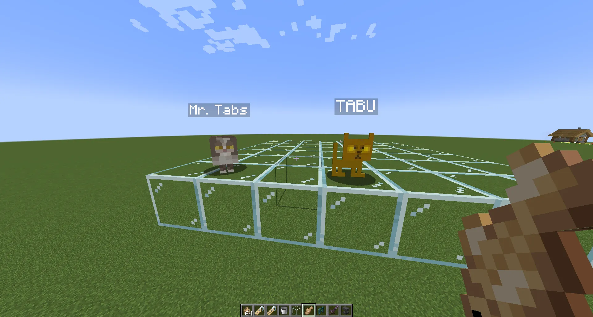 Secret Cats, Моды, Minecraft