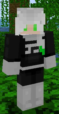 Phantom Accessories, Моды, Minecraft