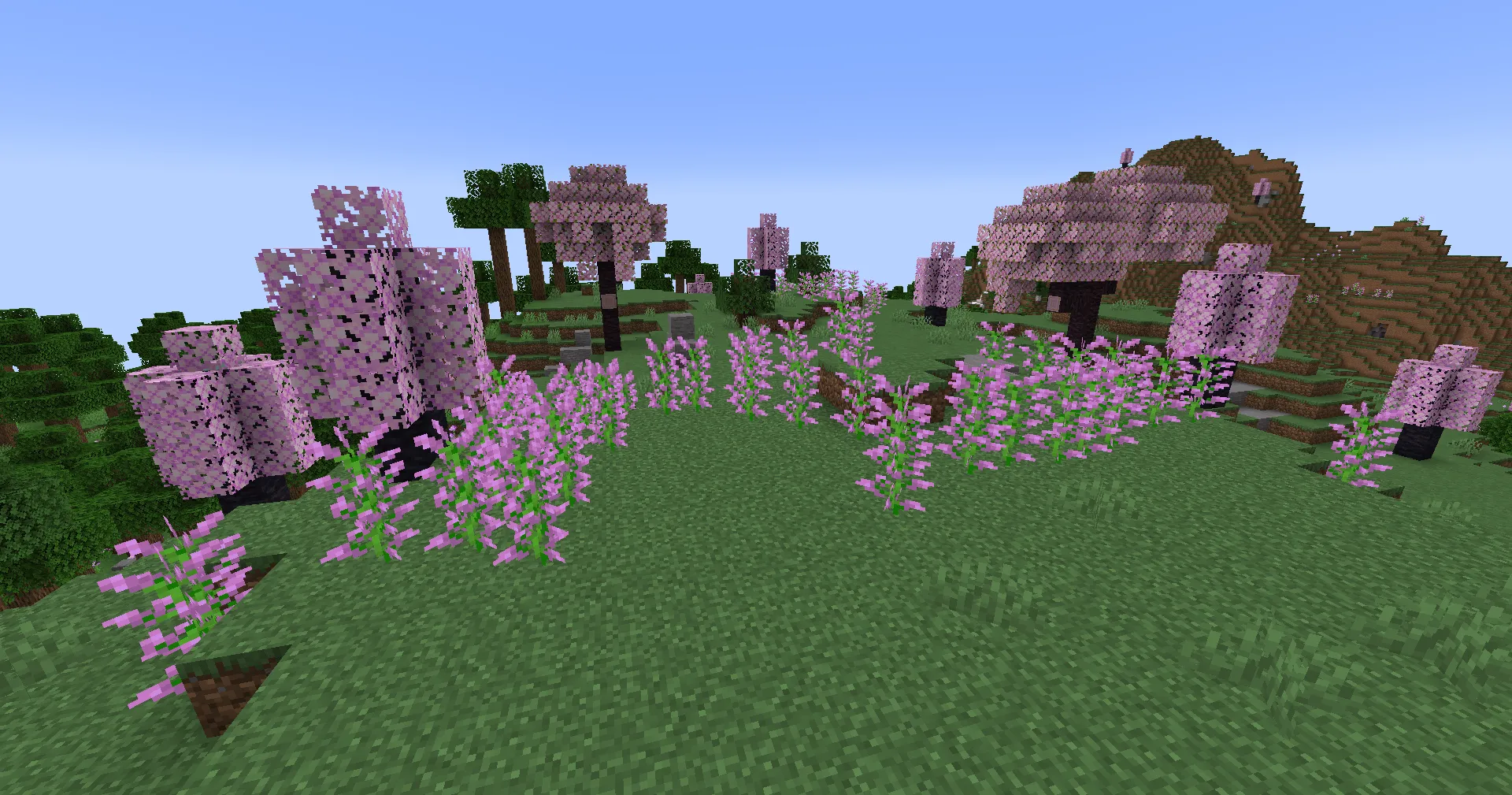 Biome Plus, Моды, Minecraft