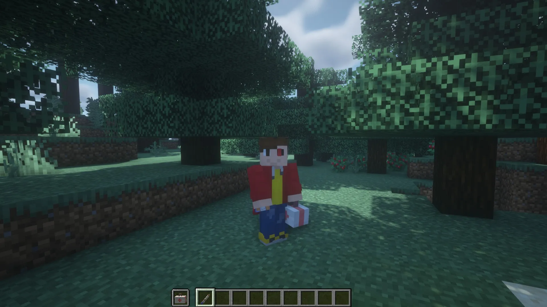 DiabetesMasters, Моды, Minecraft