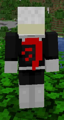 Phantom Accessories, Моды, Minecraft