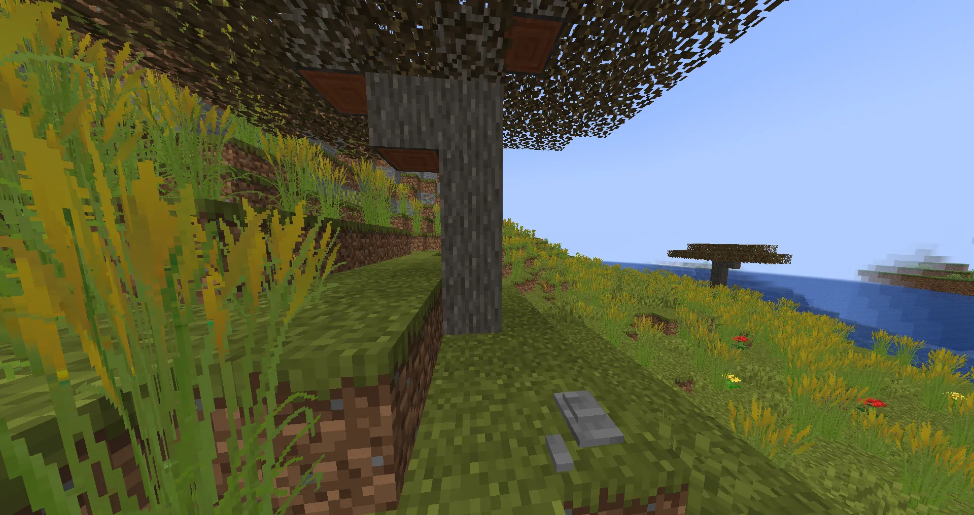 Inspired biomes (discontinued), Моды, Minecraft