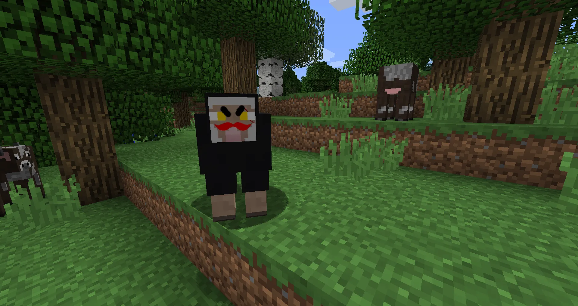 Sith Sheep Emprire, Текстуры, Minecraft