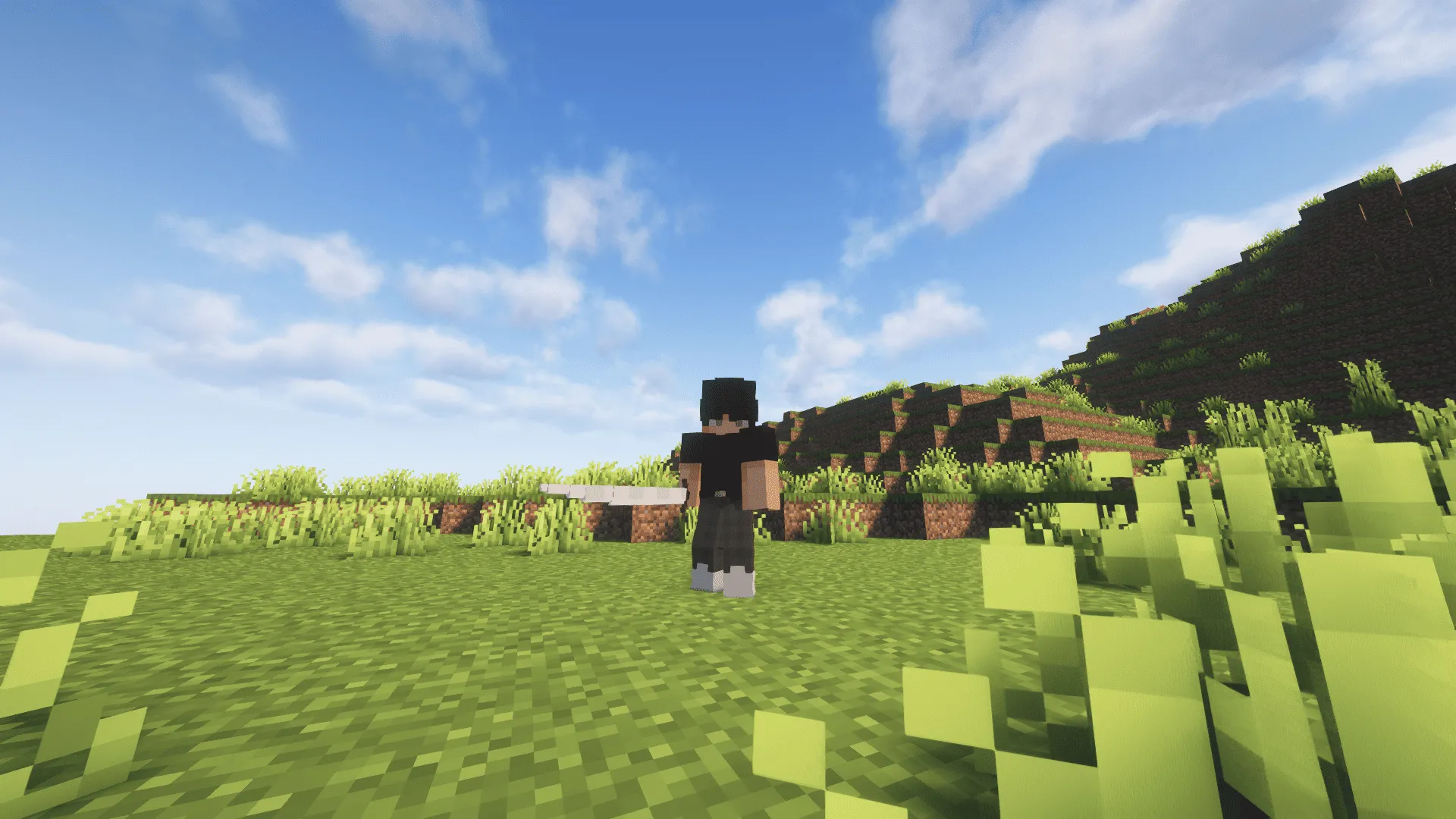 Savage Blood Magic, Моды, Minecraft
