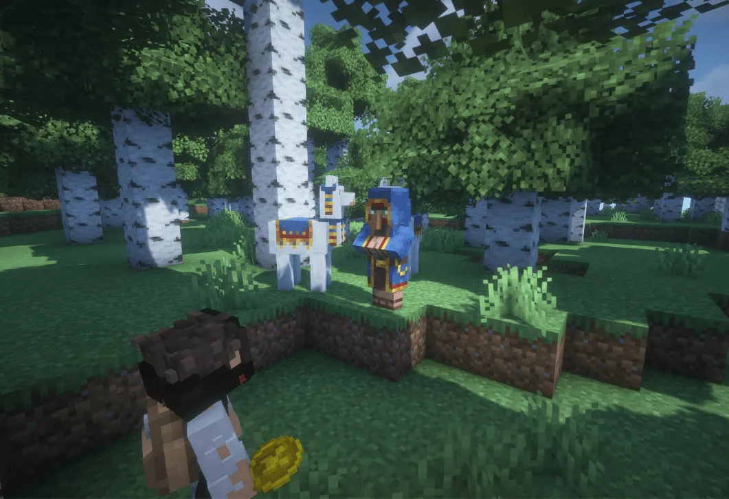 CoinMasterPRO, Моды, Minecraft