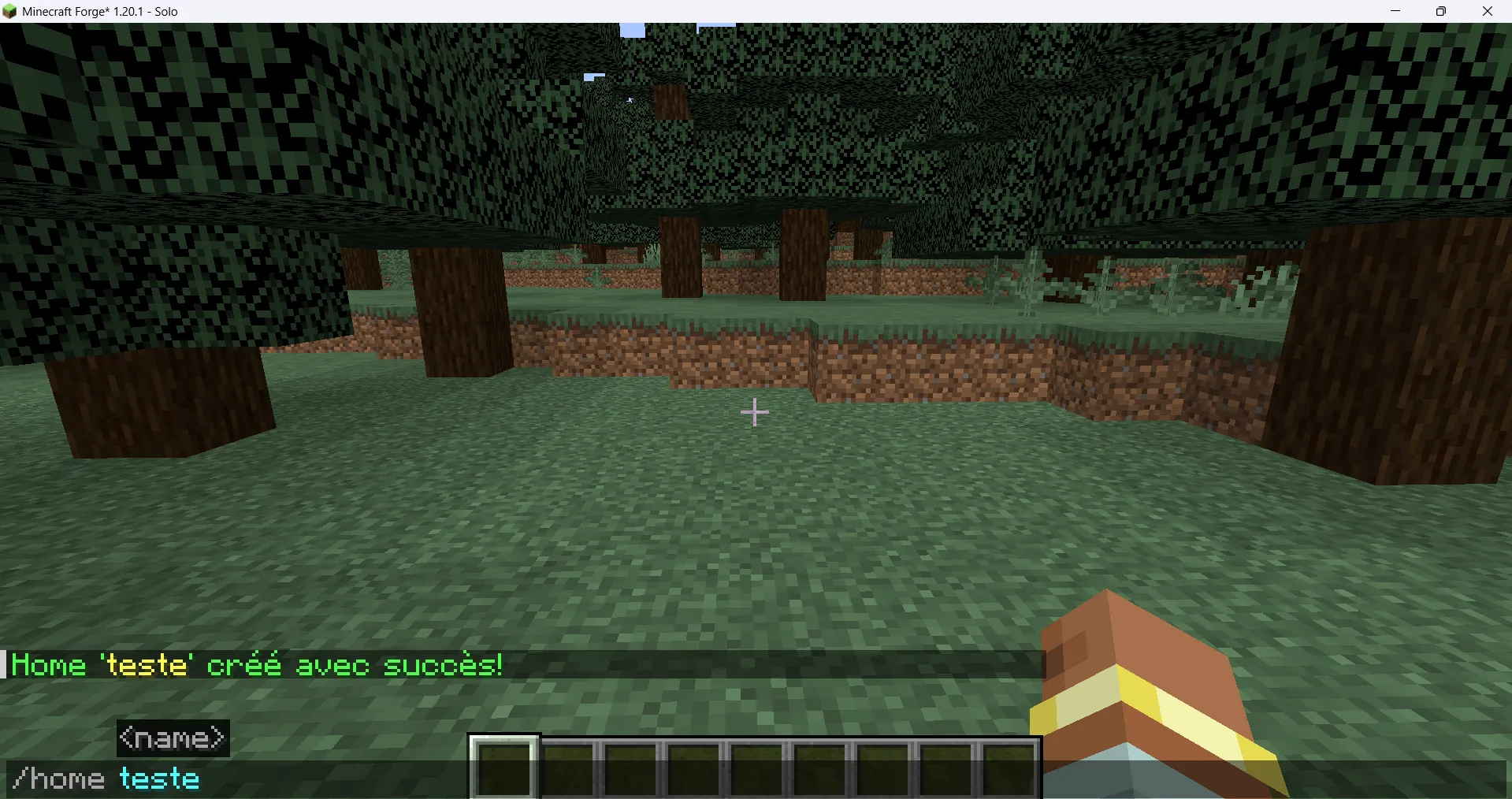 Set-Home Point — скриншот 8 (Моды, Minecraft)