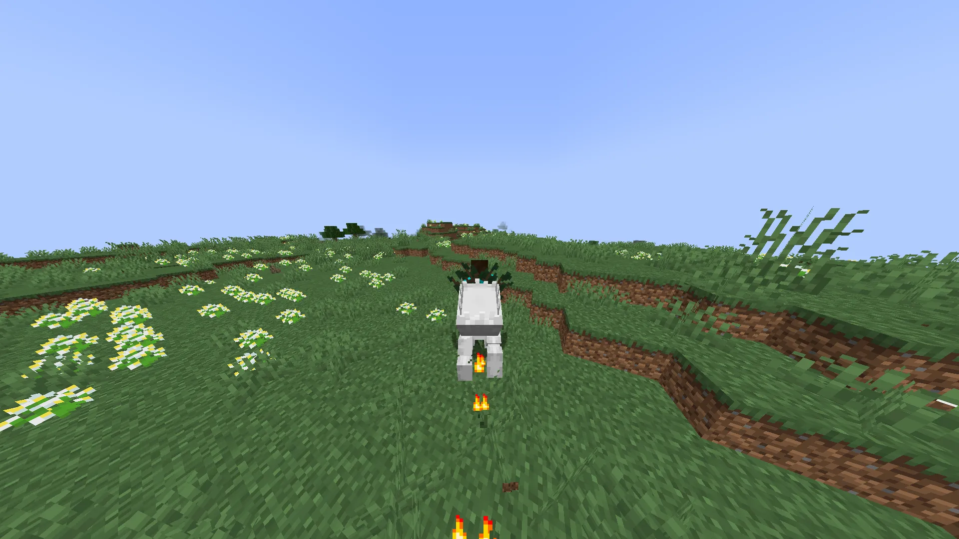 New mounts, Моды, Minecraft