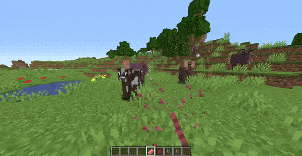 Mob Eraser, Моды, Minecraft