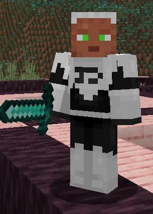 Phantom Accessories, Моды, Minecraft