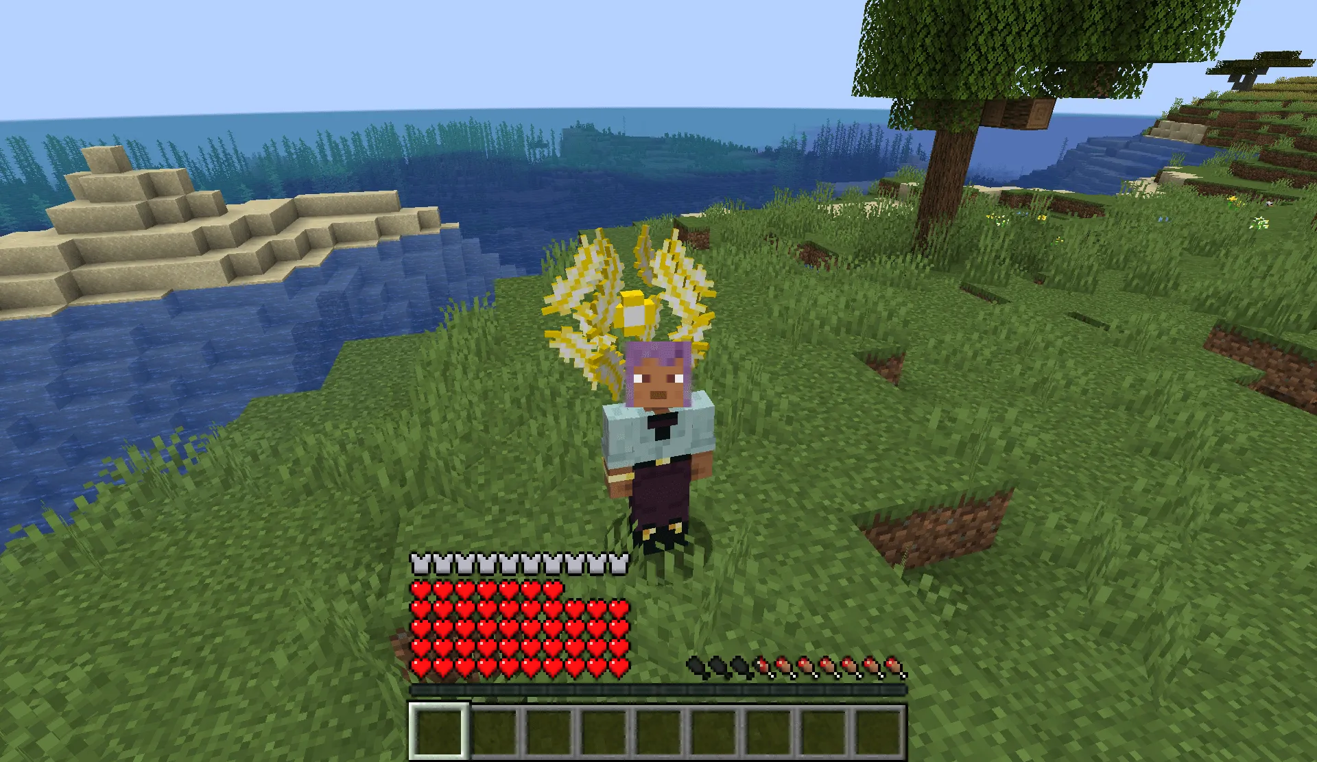 Descended Angel — скриншот 9 (Моды, Minecraft)