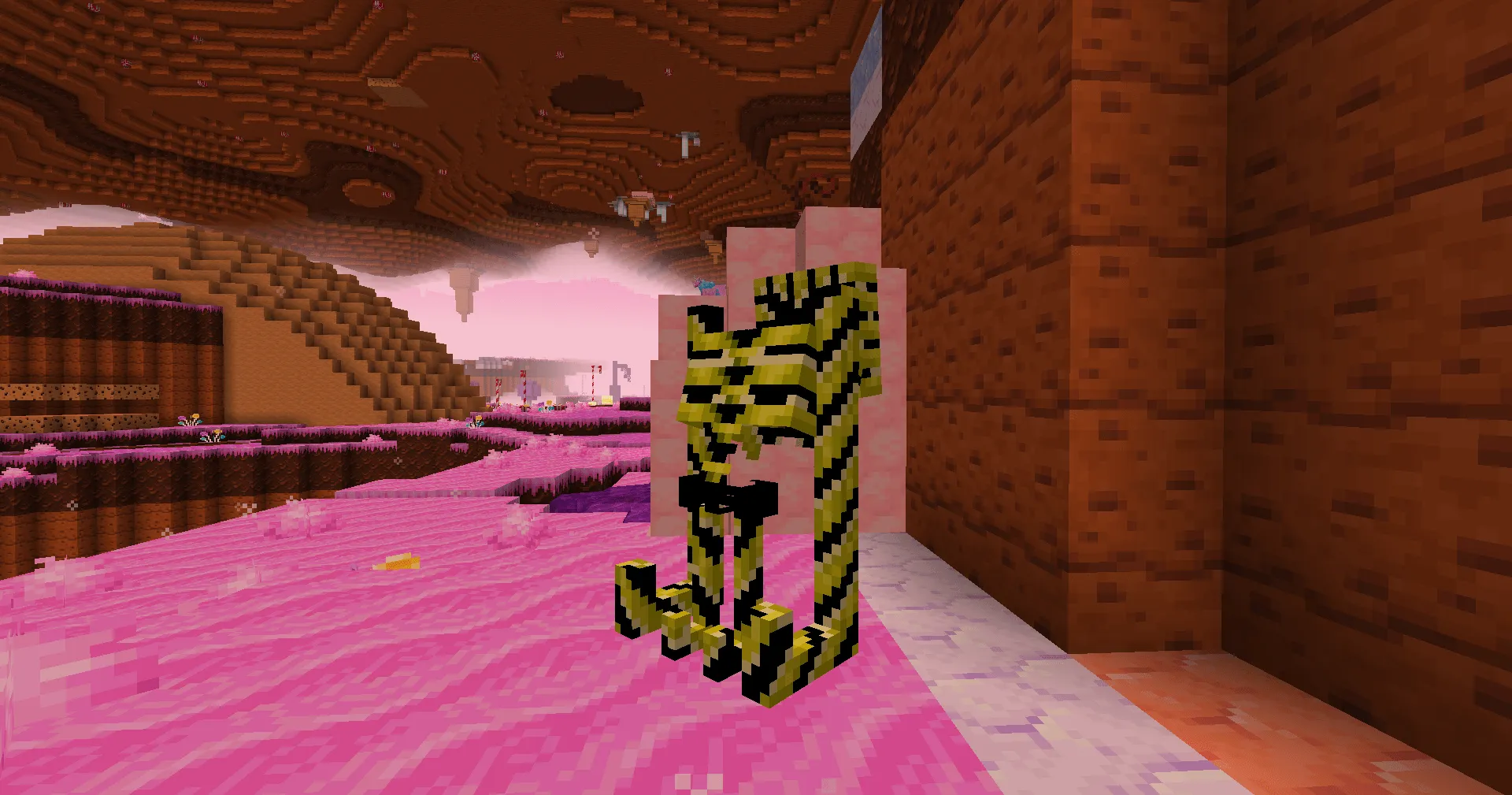 Colorful Caniacs, Текстуры, Minecraft