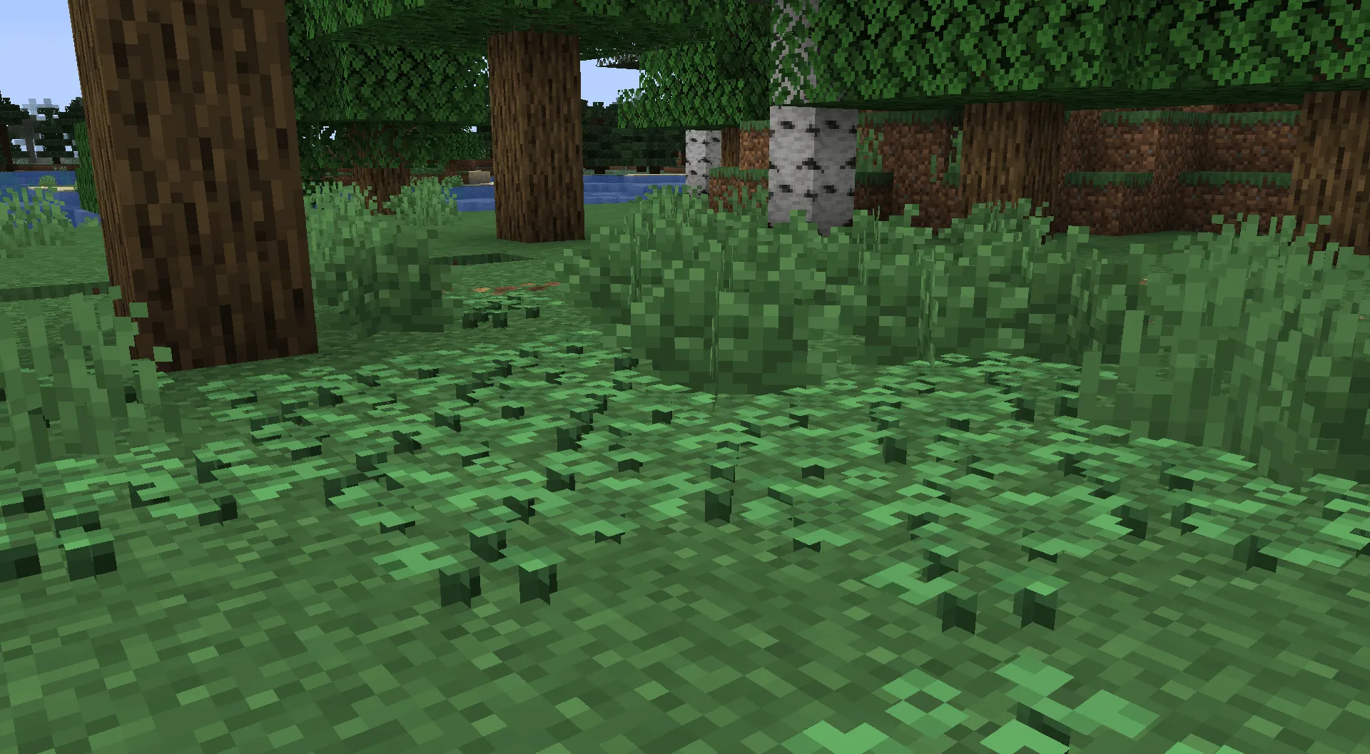 Oaks Frontier, Моды, Minecraft