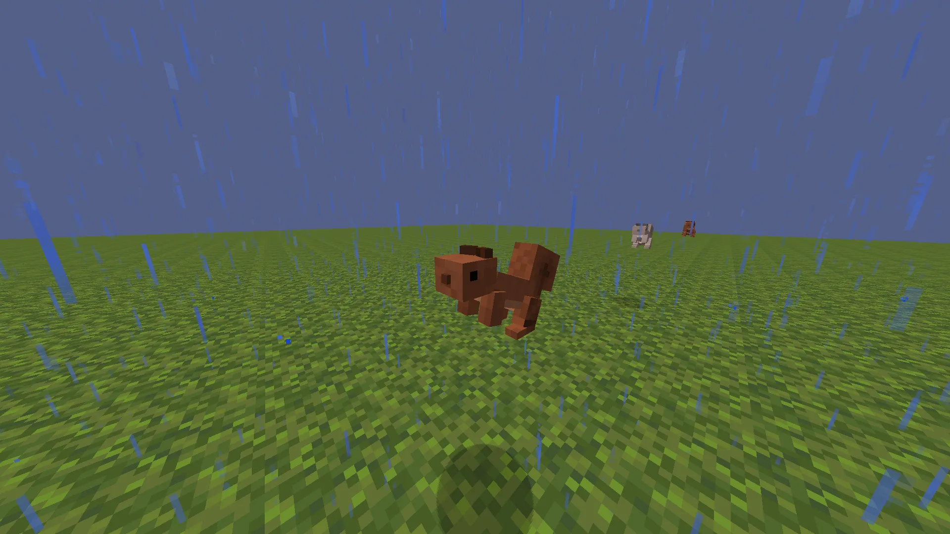 Squirrels — скриншот 5 (Текстуры, Minecraft)
