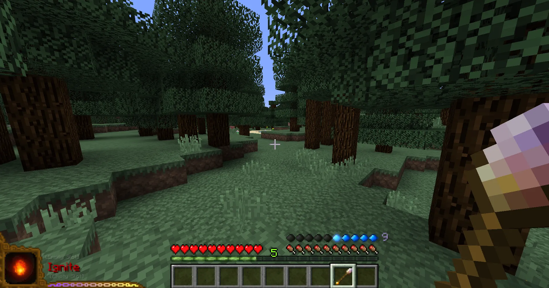 Wizardry Player Mana Tweaked — скриншот 1 (Моды, Minecraft)