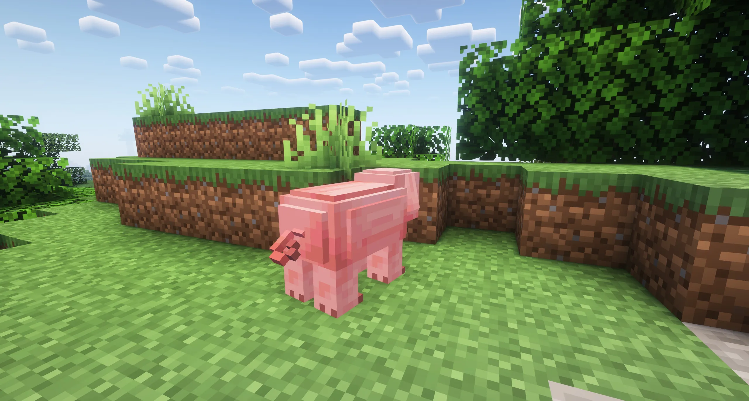 Realistic Pigs — скриншот 5 (Текстуры, Minecraft)