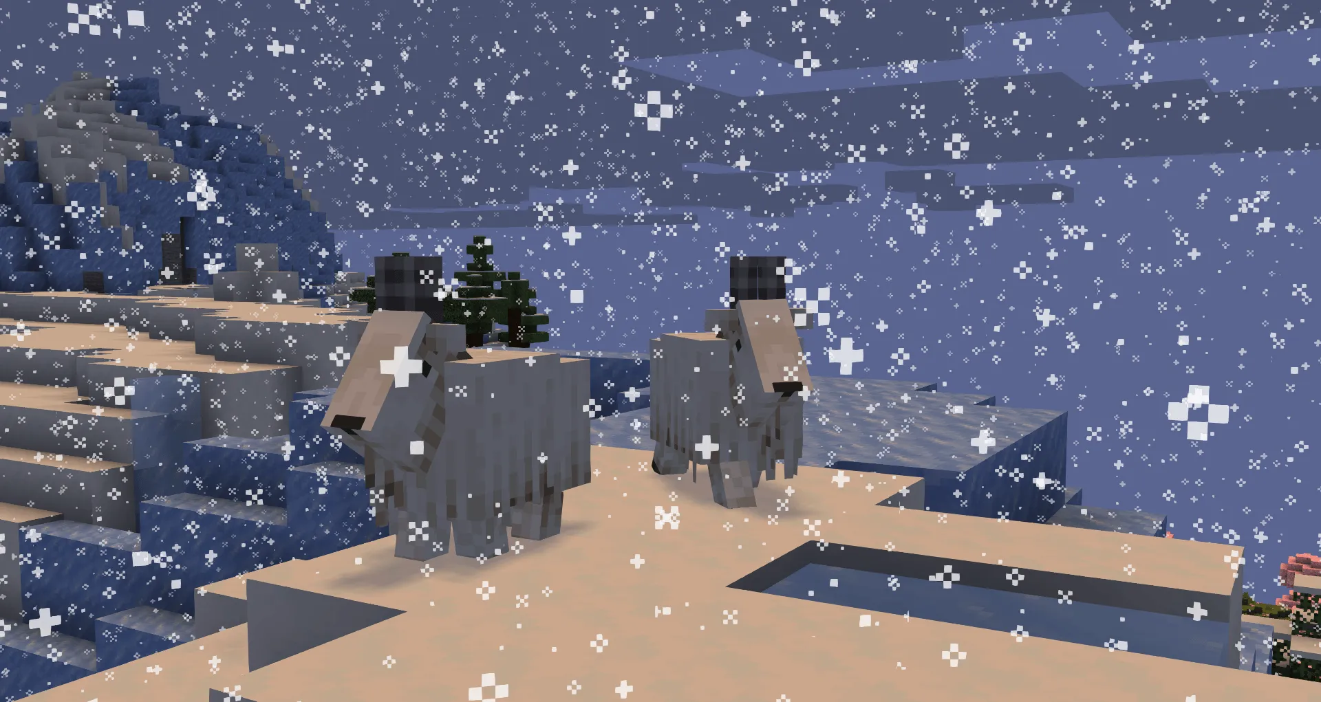 Pumpkin, Шейдеры, Minecraft