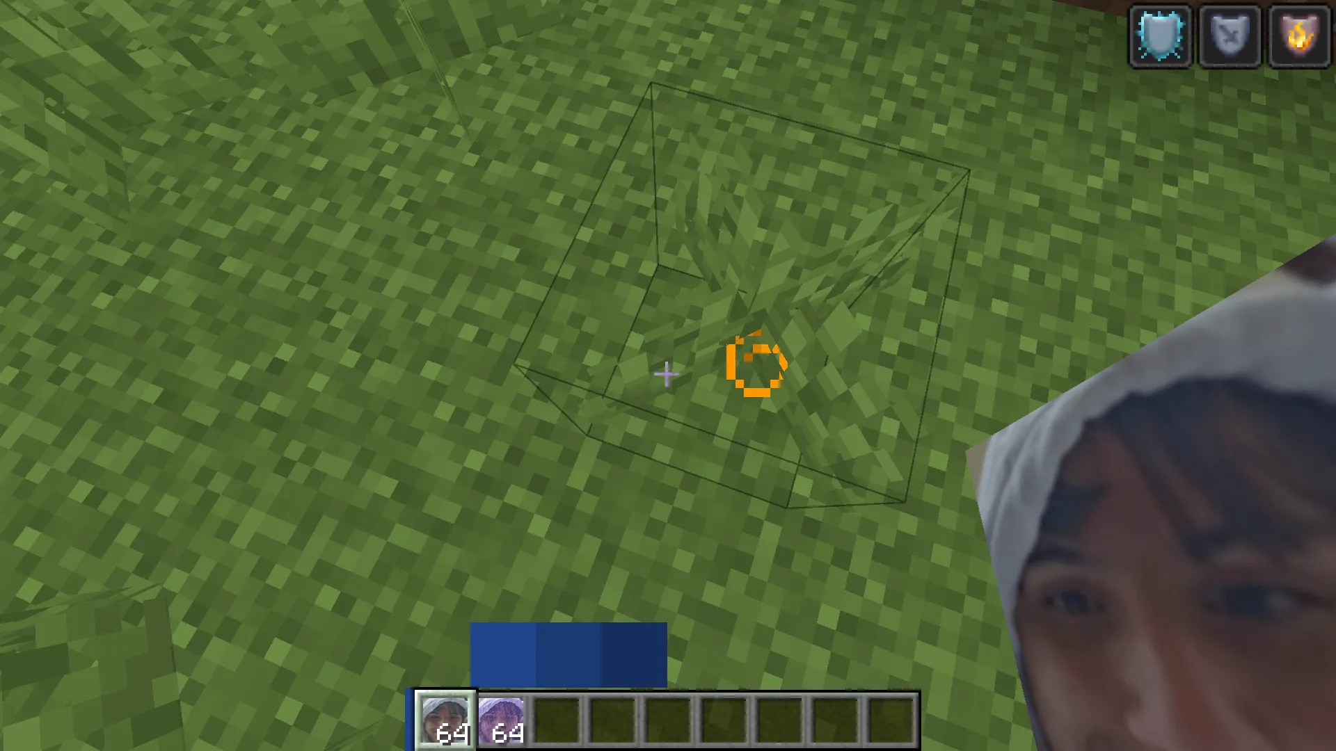 savarigna, Текстуры, Minecraft