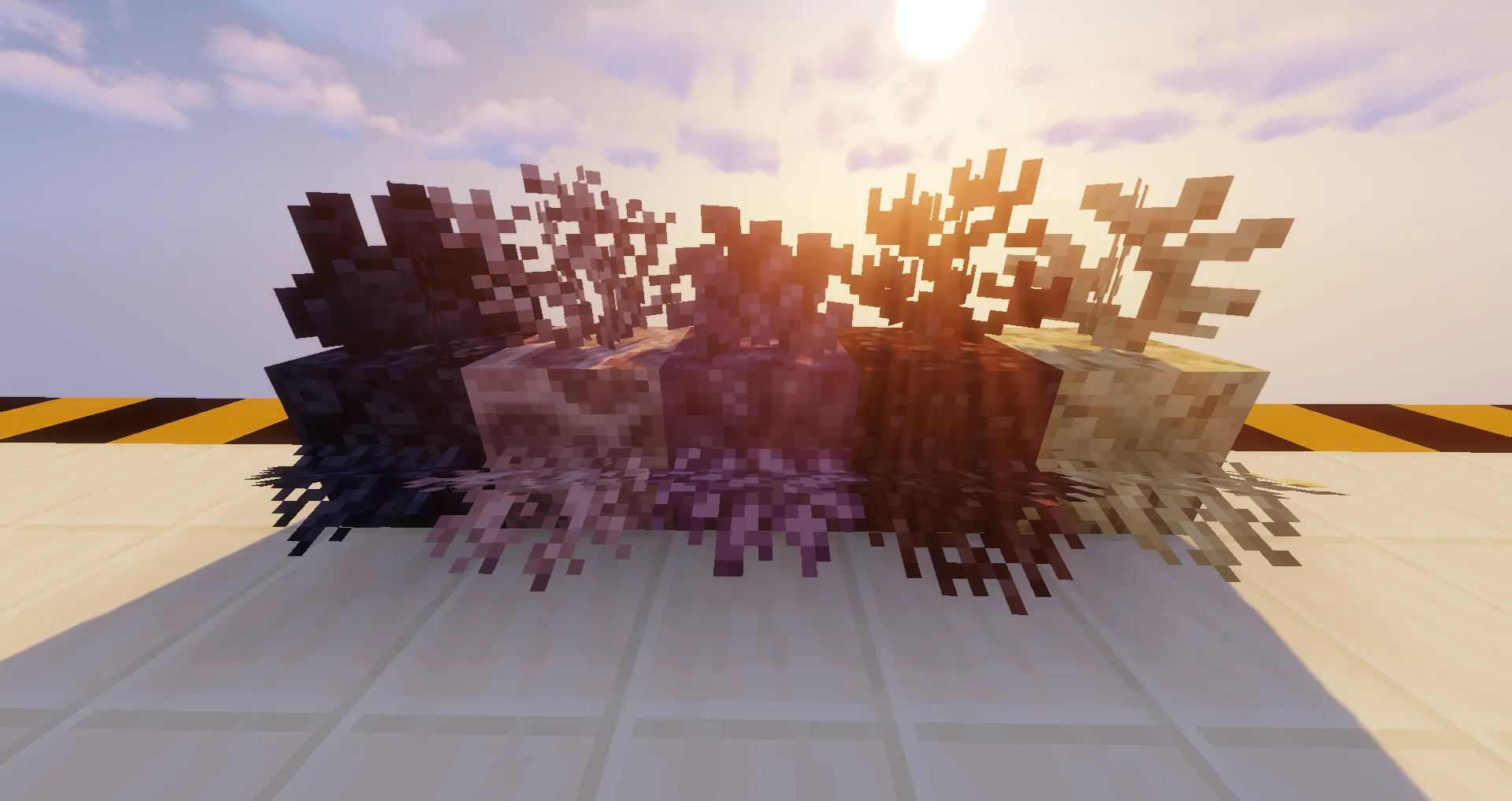 Concrete Colored Corals - Saturated Dead Corals Addon — скриншот 1 (Текстуры, Minecraft)