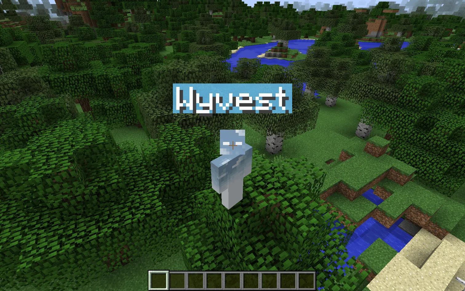 PolyNametag, Моды, Minecraft