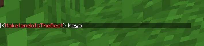 RenameMe, Моды, Minecraft