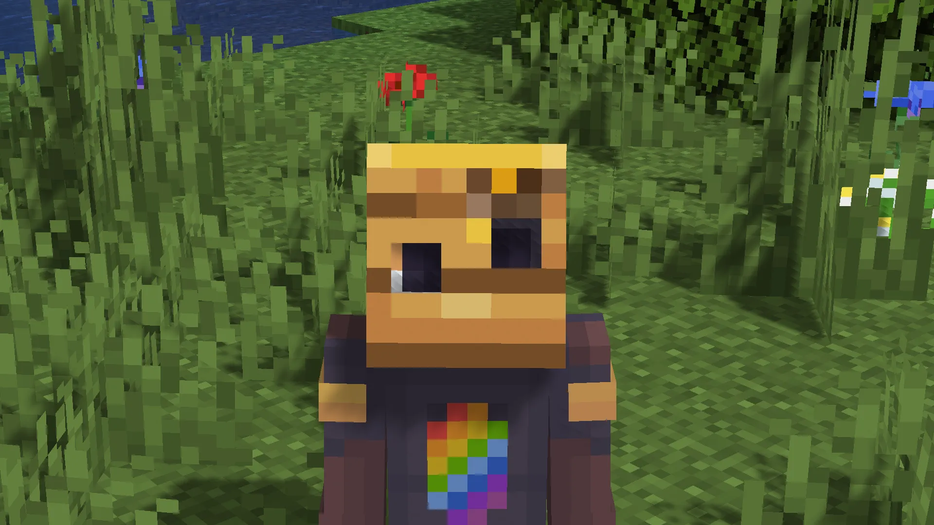 HoneyPack, Текстуры, Minecraft