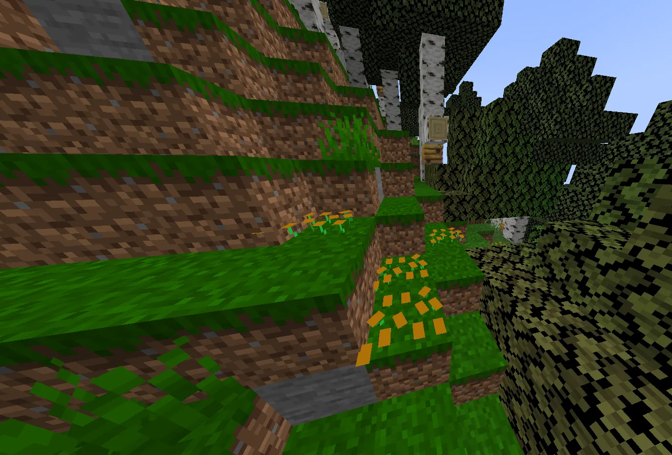 birch forest, Моды, Minecraft