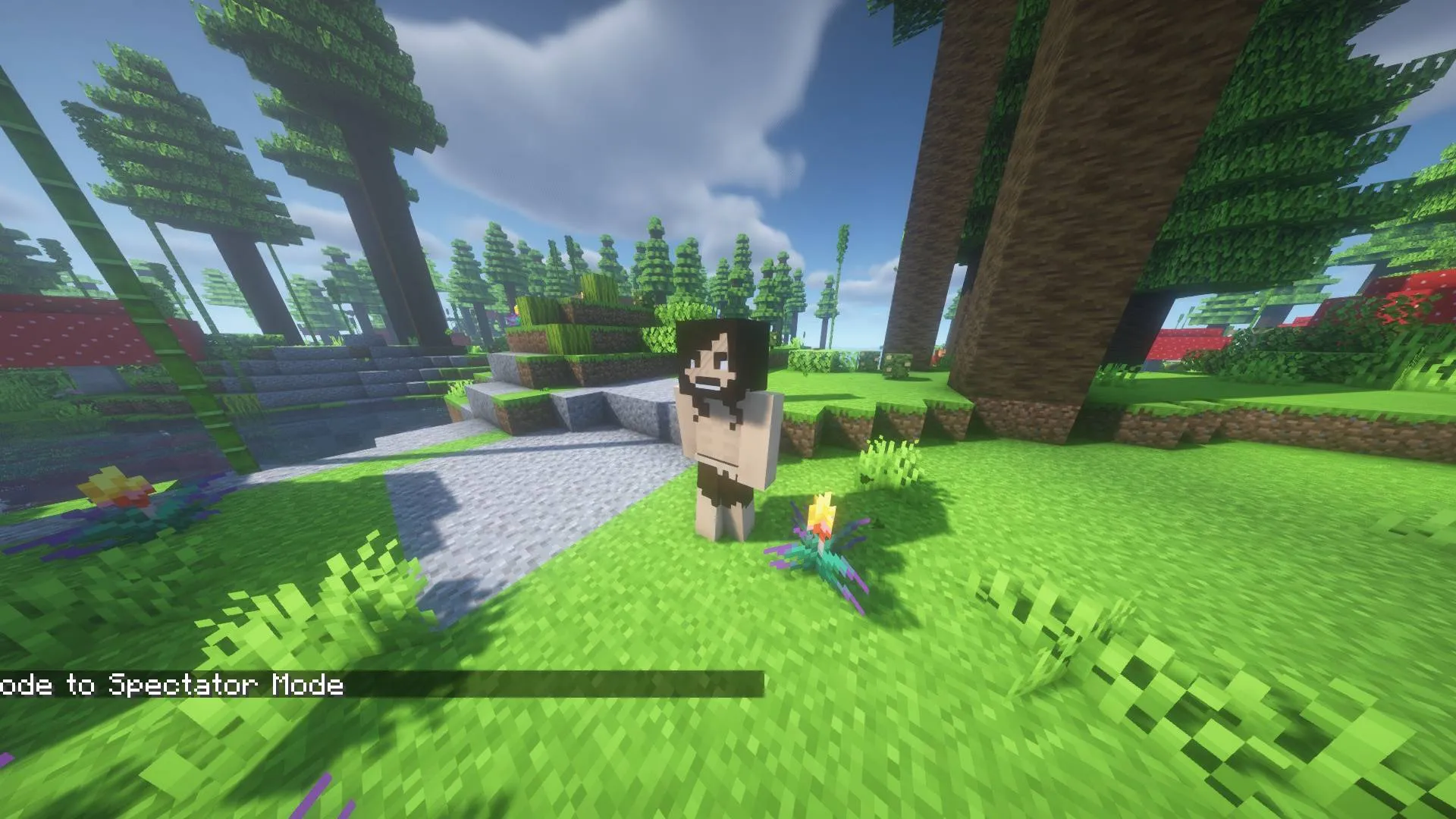 Reset Your World, Моды, Minecraft