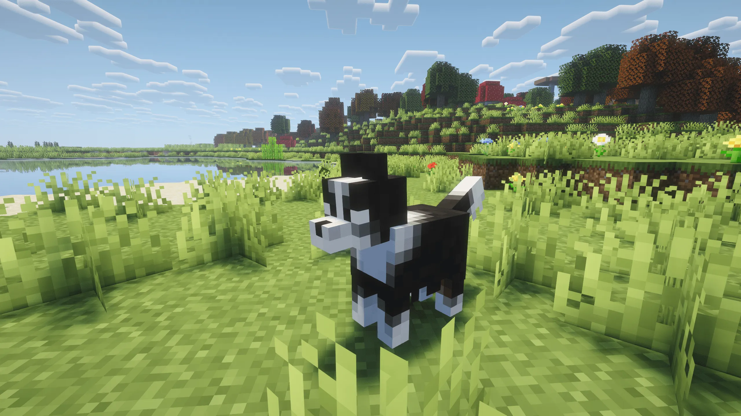 Animals Zoo – Explore Animals & Build the Ultimate Zoo — скриншот 8 (Модпаки, Minecraft)