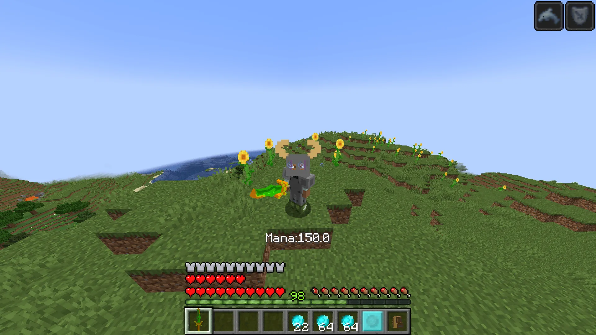 Wizzards!, Моды, Minecraft