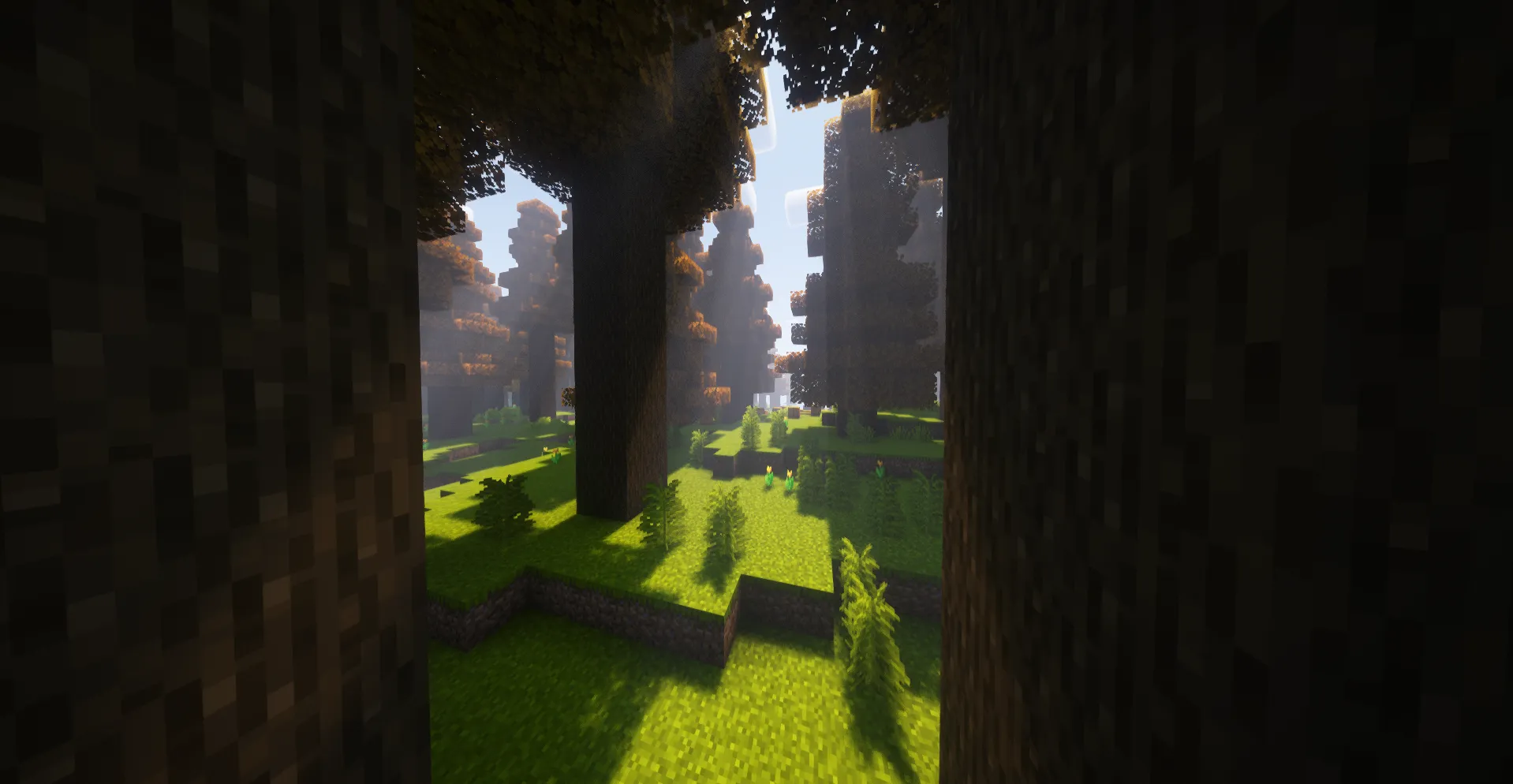 Biome Bonanza! — скриншот 2 (Моды, Minecraft)