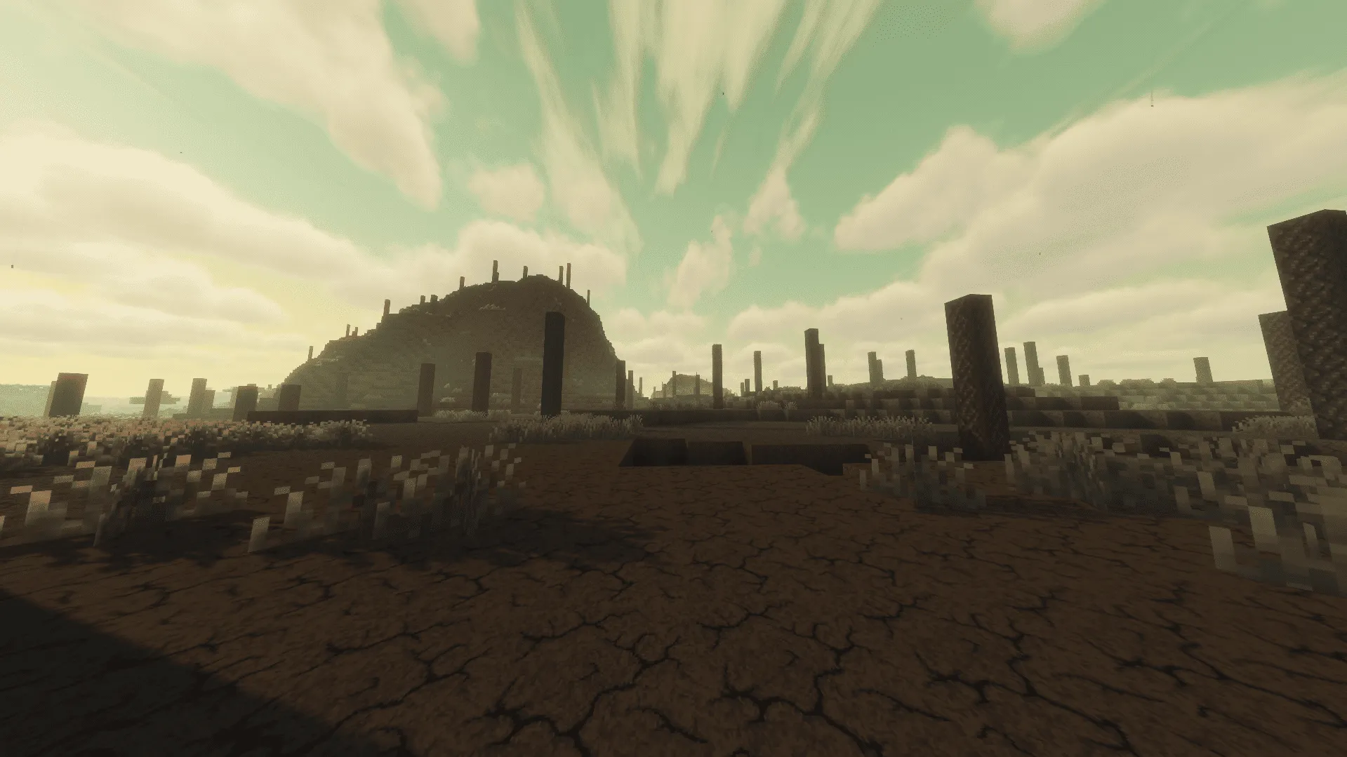 Radiation Wasterland ☢️, Моды, Minecraft