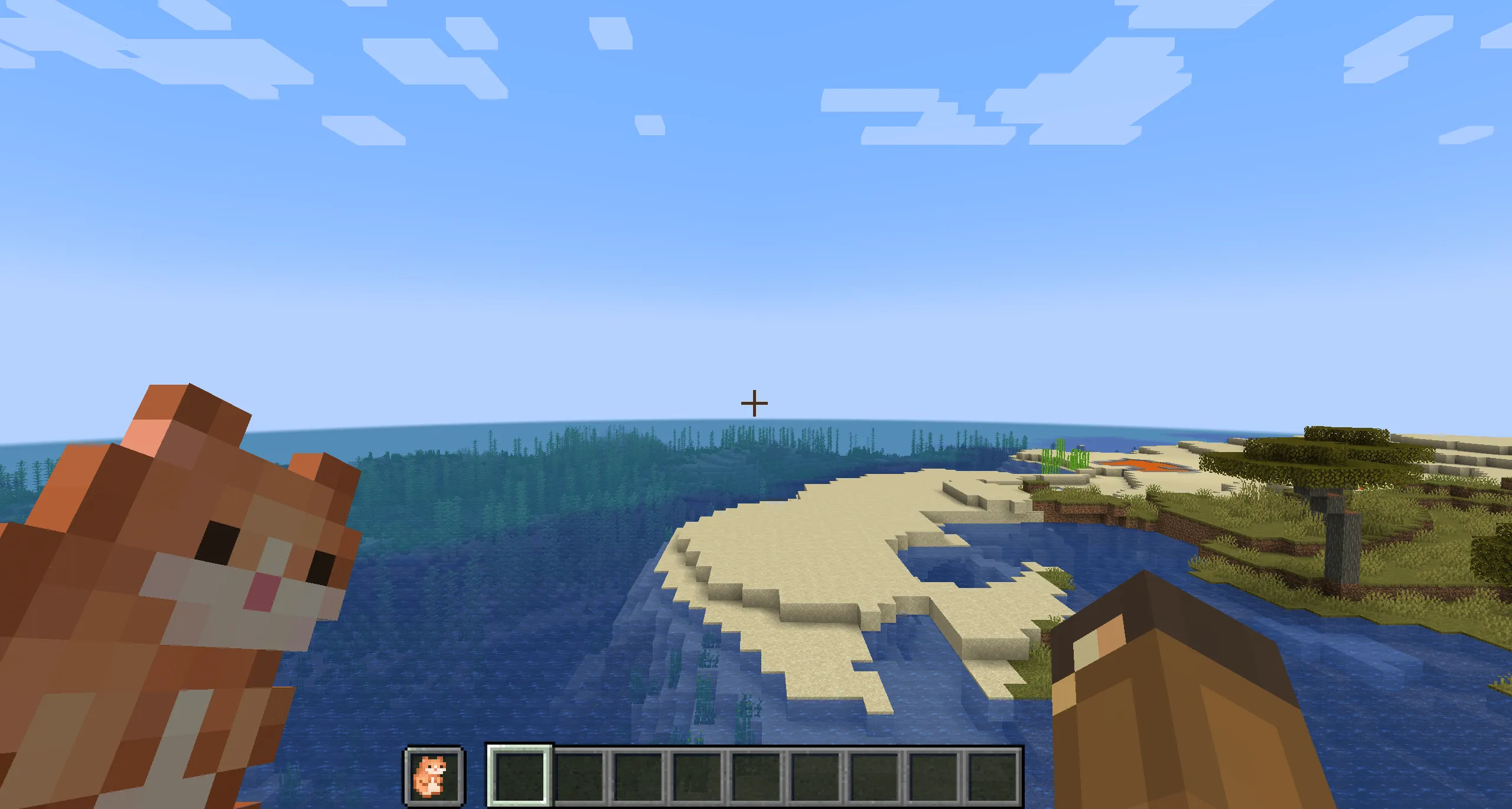 Hamster of Undying, Текстуры, Minecraft