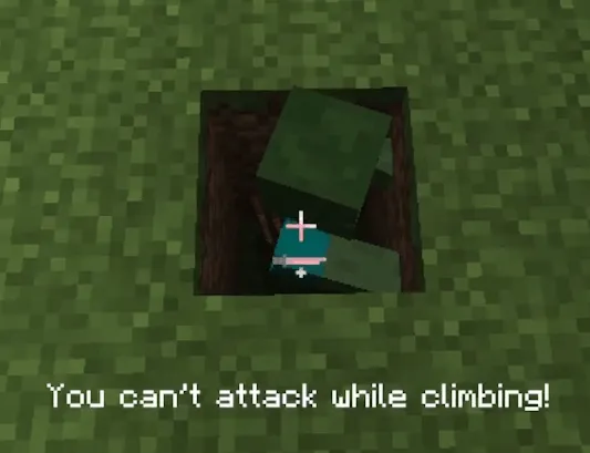 No Attacking on Ladders!, Моды, Minecraft