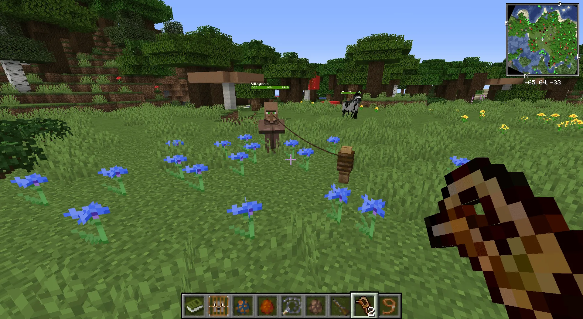 Retro Pet Items — скриншот 1 (Моды, Minecraft)