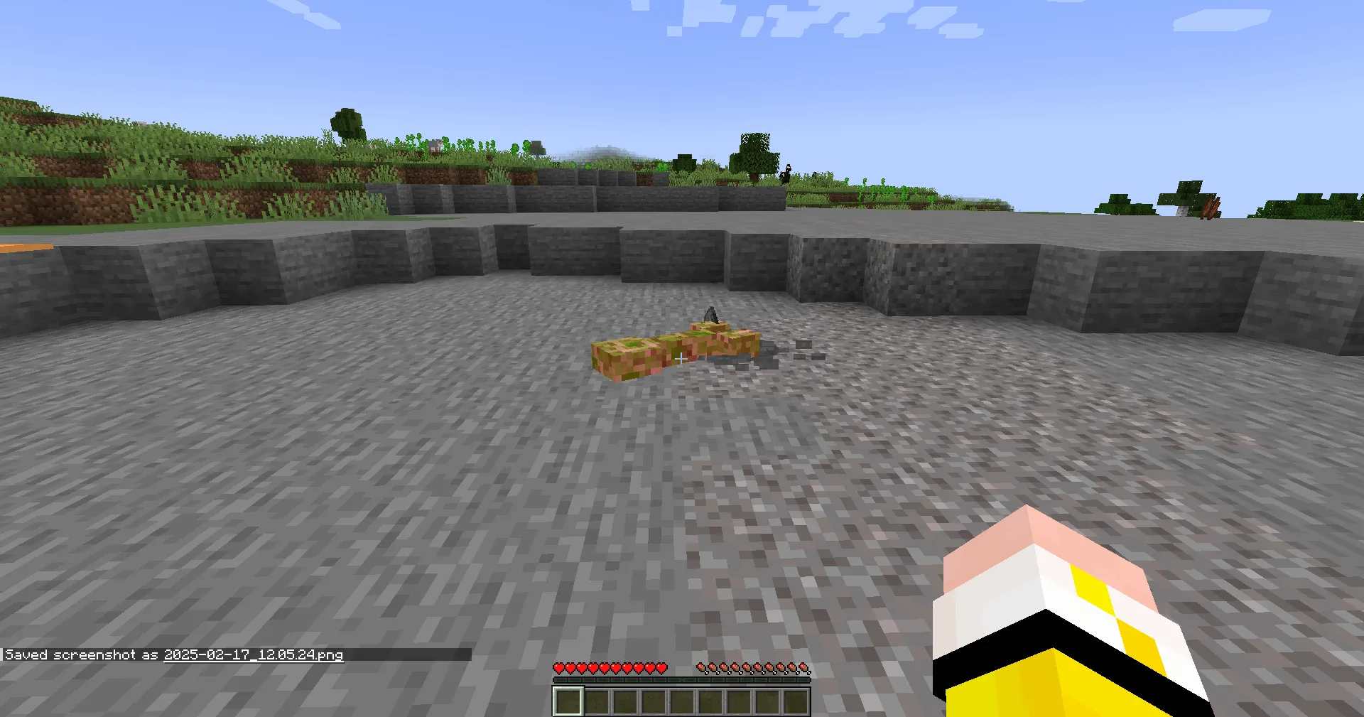 SecurityOverkill, Моды, Minecraft