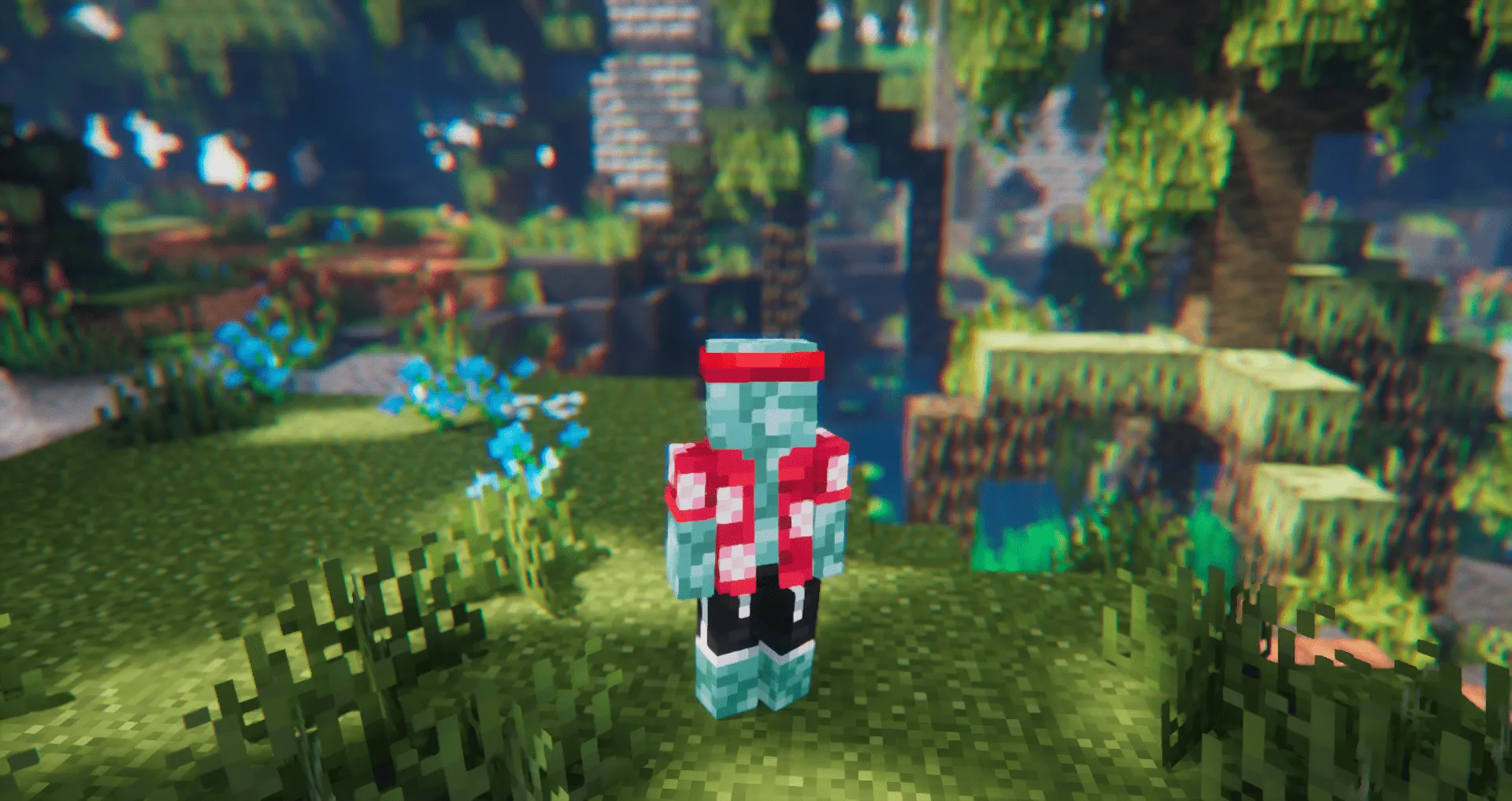 Detailed Animations Tester, Текстуры, Minecraft